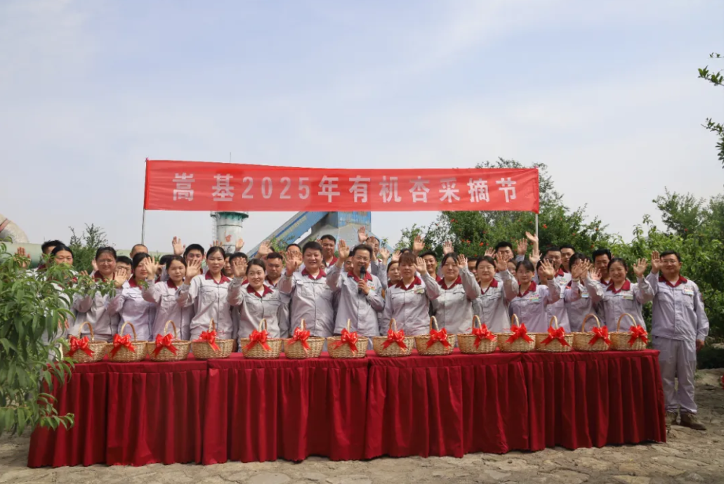 1747450644274.png 1747450644274.png