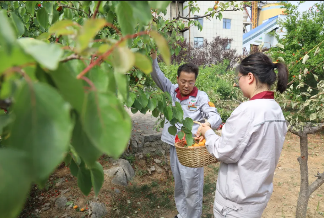 1747450584122.png 1747450584122.png