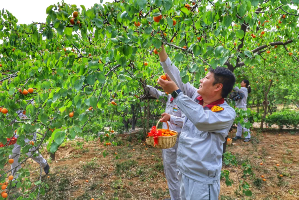 1747450596038.png 1747450596038.png