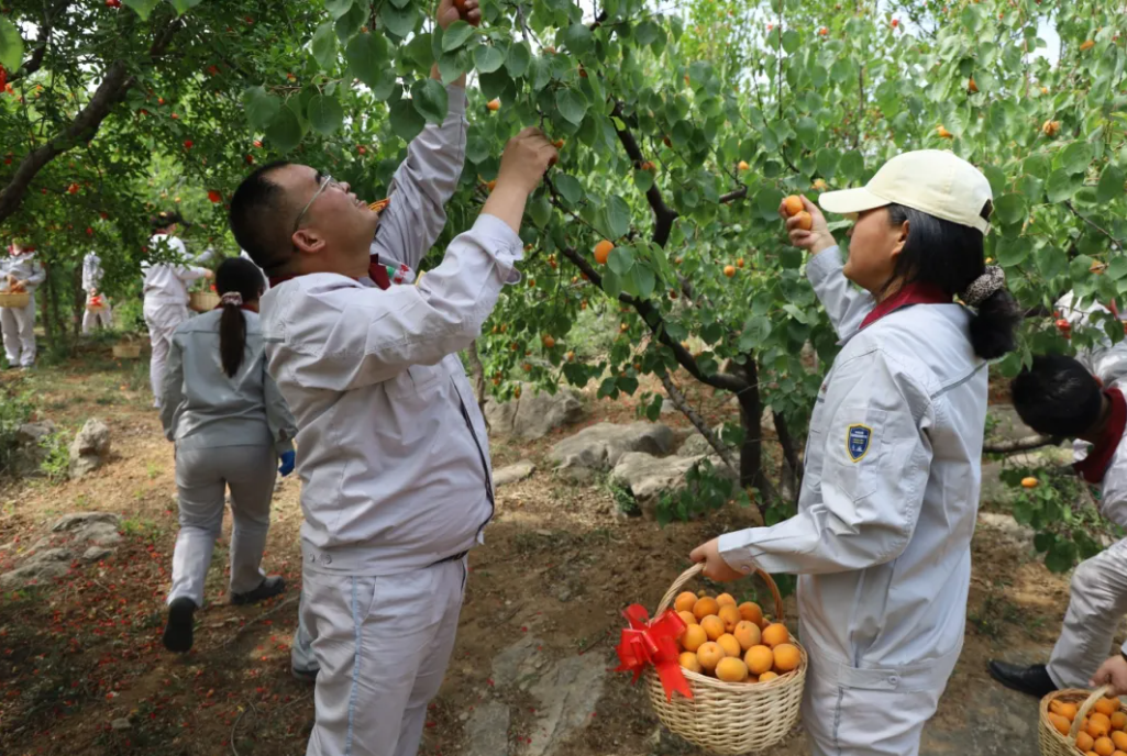 1747450606385.png 1747450606385.png